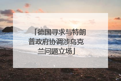 德国寻求与特朗普政府协调涉乌克兰问题立场