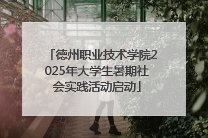 德州职业技术学院2025年大学生暑期社会实践活动启动