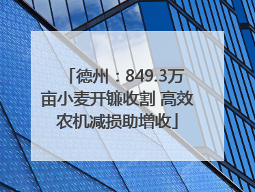 德州：849.3万亩小麦开镰收割 高效农机减损助增收