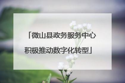 微山县政务服务中心积极推动数字化转型