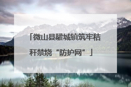 微山县驩城镇筑牢秸秆禁烧“防护网”
