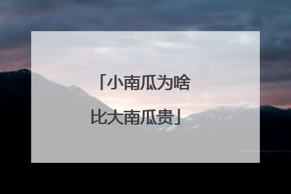 小南瓜为啥比大南瓜贵