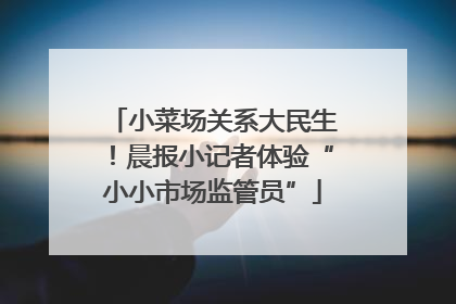 小菜场关系大民生！晨报小记者体验“小小市场监管员”