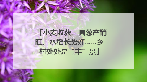 小麦收获、圆葱产销旺、水稻长势好……乡村处处是“丰”景