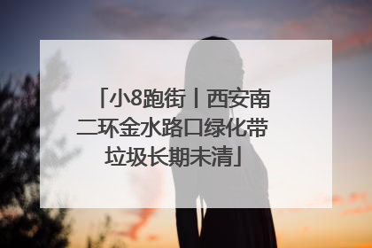 小8跑街丨西安南二环金水路口绿化带垃圾长期未清