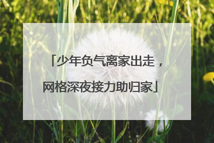 少年负气离家出走，网格深夜接力助归家