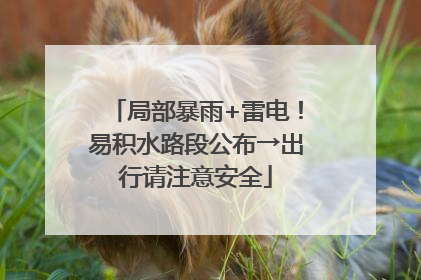 局部暴雨+雷电！易积水路段公布→出行请注意安全