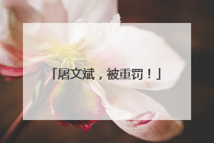 屠文斌，被重罚！