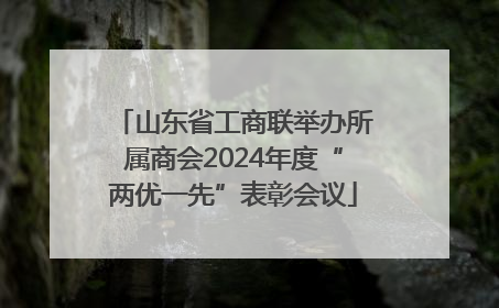 山东省工商联举办所属商会2024年度“两优一先”表彰会议