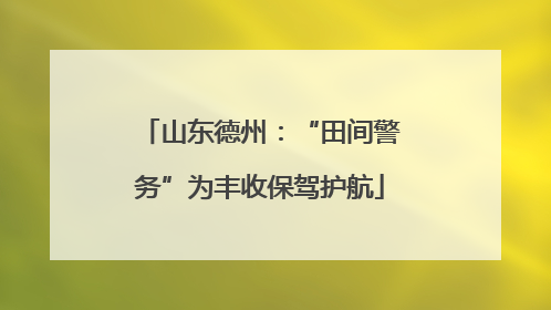 山东德州：“田间警务”为丰收保驾护航
