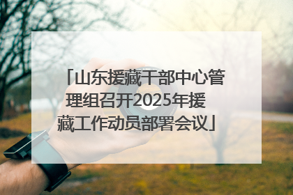山东援藏干部中心管理组召开2025年援藏工作动员部署会议