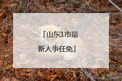 山东1市最新人事任免