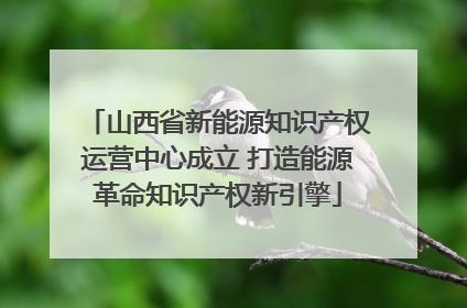 山西省新能源知识产权运营中心成立 打造能源革命知识产权新引擎