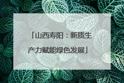 山西寿阳：新质生产力赋能绿色发展