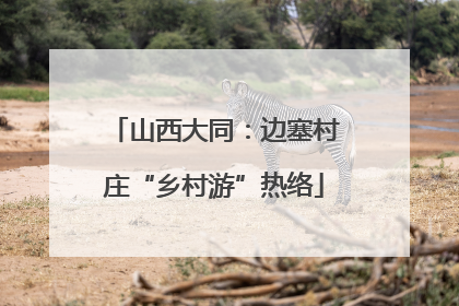 山西大同：边塞村庄“乡村游”热络
