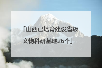 山西已培育建设省级文物科研基地26个