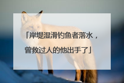 岸堤湿滑钓鱼者落水，曾救过人的他出手了