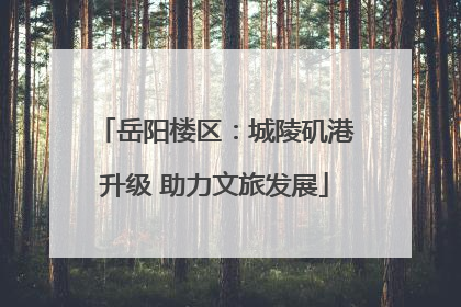 岳阳楼区：城陵矶港升级 助力文旅发展