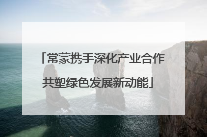 常蒙携手深化产业合作 共塑绿色发展新动能