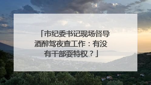 市纪委书记现场督导酒醉驾夜查工作：有没有干部耍特权？