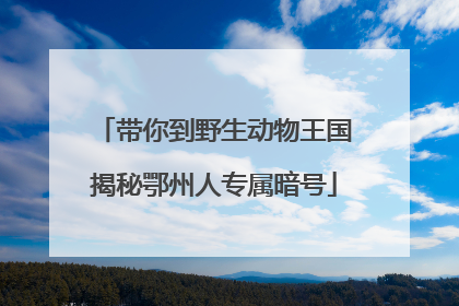 带你到野生动物王国揭秘鄂州人专属暗号