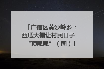 广信区黄沙岭乡：西瓜大棚让村民日子“顶呱呱”（图）