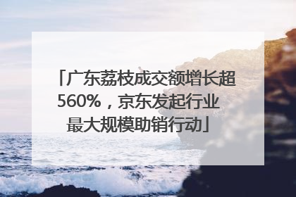 广东荔枝成交额增长超560%，京东发起行业最大规模助销行动