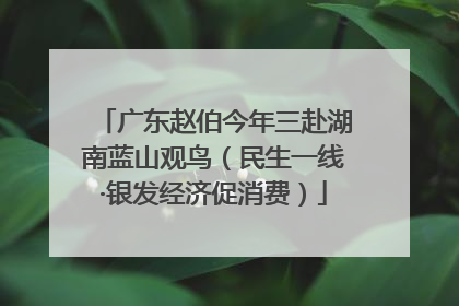 广东赵伯今年三赴湖南蓝山观鸟（民生一线·银发经济促消费）