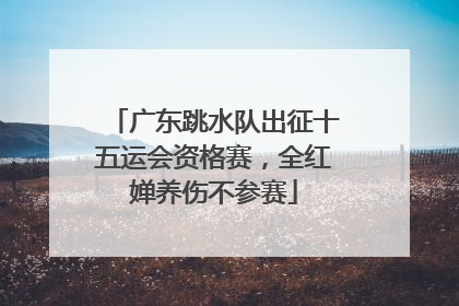 广东跳水队出征十五运会资格赛，全红婵养伤不参赛