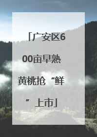 广安区600亩早熟黄桃抢“鲜”上市