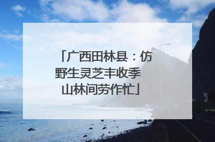广西田林县：仿野生灵芝丰收季 山林间劳作忙