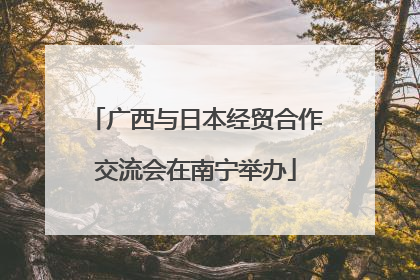 广西与日本经贸合作交流会在南宁举办