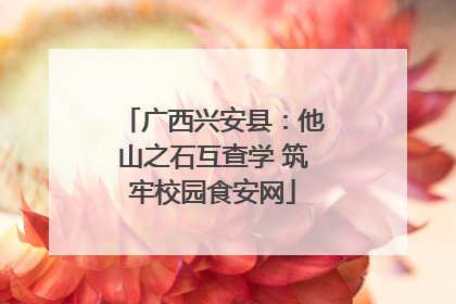 广西兴安县：他山之石互查学 筑牢校园食安网