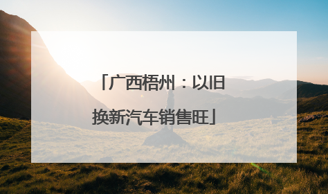 广西梧州：以旧换新汽车销售旺