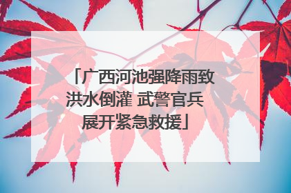 广西河池强降雨致洪水倒灌 武警官兵展开紧急救援