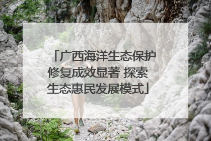 广西海洋生态保护修复成效显著 探索生态惠民发展模式