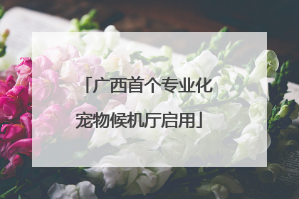 广西首个专业化宠物候机厅启用