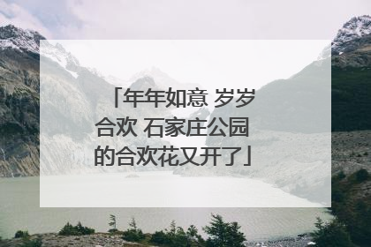 年年如意 岁岁合欢 石家庄公园的合欢花又开了