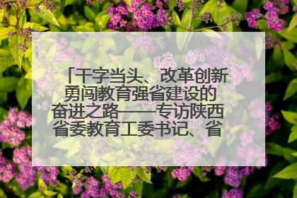 干字当头、改革创新 勇闯教育强省建设的奋进之路——专访陕西省委教育工委书记、省教育厅厅长王树声