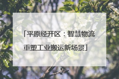 平原经开区：智慧物流重塑工业搬运新场景