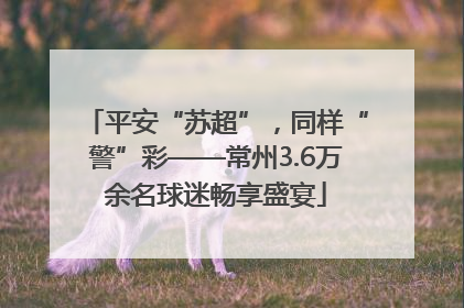 平安“苏超”，同样“警”彩——常州3.6万余名球迷畅享盛宴