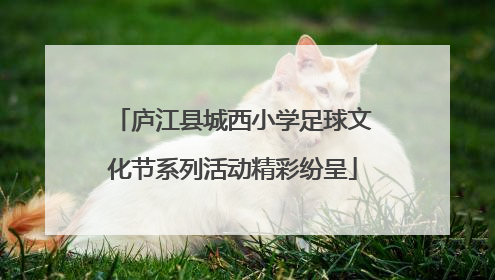 庐江县城西小学足球文化节系列活动精彩纷呈