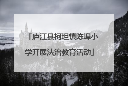 庐江县柯坦镇陈埠小学开展法治教育活动