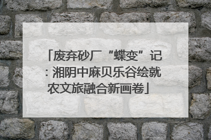 废弃砂厂“蝶变”记：湘阴中麻贝乐谷绘就农文旅融合新画卷