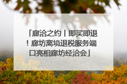 廊洽之约丨即买即退！廊坊离境退税服务端口亮相廊坊经洽会