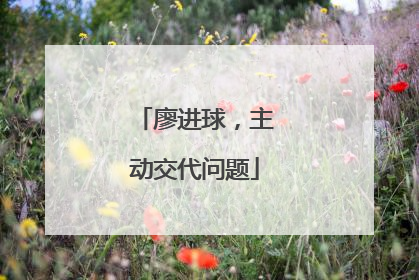 廖进球，主动交代问题