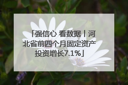 强信心 看数据丨河北省前四个月固定资产投资增长7.1%