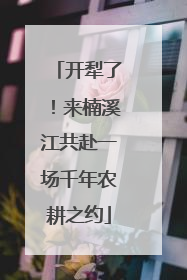 开犁了！来楠溪江共赴一场千年农耕之约
