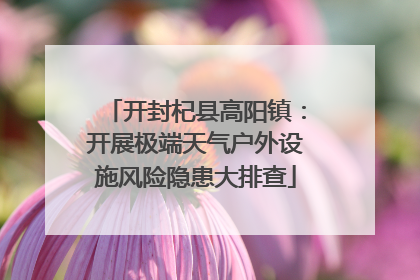 开封杞县高阳镇：开展极端天气户外设施风险隐患大排查