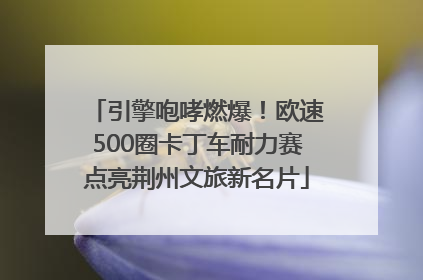 引擎咆哮燃爆！欧速500圈卡丁车耐力赛点亮荆州文旅新名片